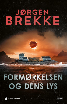 Formørkelsen og dens lys av Jørgen Brekke (Ebok)