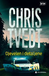 Djevelen i detaljene av Chris Tvedt (Ebok)