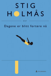 Dagene er blitt fortere nå av Stig Holmås (Ebok)