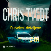 Djevelen i detaljene av Chris Tvedt (Nedlastbar lydbok)