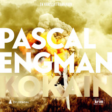 Kokain av Pascal Engman (Nedlastbar lydbok)