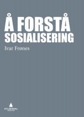 Å forstå sosialisering av Ivar Frønes (Ebok)
