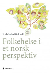 Folkehelse i et norsk perspektiv (Ebok)