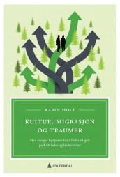 Kultur, migrasjon og traumer av Karin Holt (Ebok)
