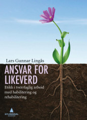 Ansvar for likeverd av Lars Gunnar Lingås (Ebok)