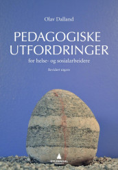 Pedagogiske utfordringer for helse- og sosialarbeidere av Olav Dalland (Ebok)