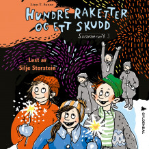 Hundre raketter og ett skudd av Linn T. Sunne (Nedlastbar lydbok)