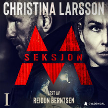 Seksjon M av Christina Larsson (Nedlastbar lydbok)