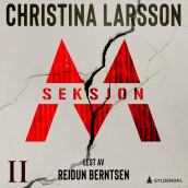 Seksjon M av Christina Larsson (Nedlastbar lydbok)