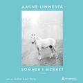 Sommer i mørket av Aasne Linnestå (Nedlastbar lydbok)