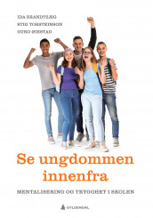 Se ungdommen innenfra av Ida Brandtzæg, Stig Torsteinson og Guro Øiestad (Ebok)