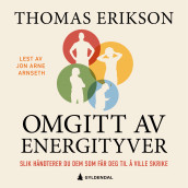 Omgitt av energityver av Thomas Erikson (Nedlastbar lydbok)
