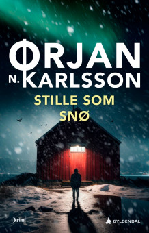 Stille som snø av Ørjan N. Karlsson (Ebok)