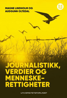 Journalistikk, verdier og menneskerettigheter av Magne Lindholm og Audgunn Oltedal (Heftet)