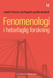 Fenomenologi i helsefaglig forskning av Hilde Bondevik, Gro Rugseth og Lisbeth Thoresen (Ebok)