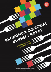 Økonomisk og sosial ulikhet i Norge av Knut Halvorsen og Steinar Stjernø (Ebok)