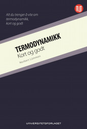 Termodynamikk av Norbert Lümmen (Ebok)