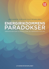 Energirikdommens paradokser (Ebok)
