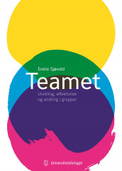 Teamet av Endre Sjøvold (Ebok)