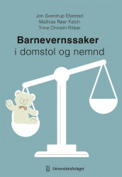 Barnevernssaker i domstol og nemnd av Jon Sverdrup Efjestad, Mathias Røer Falch og Trine Christin Riiber (Ebok)