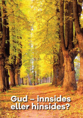 Gud - innsides eller hinsides? av Aud Bruknapp (Heftet)