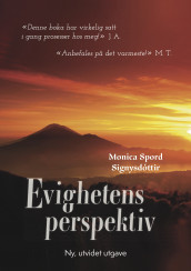Evighetens perspektiv av Monica Spord Signysdóttir (Innbundet)