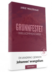 Grunnfestet av Jarle Waldemar (Heftet)