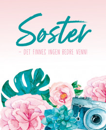 Søster - det finnes ingen bedre venn! av Svein E. Andersen (Innbundet)