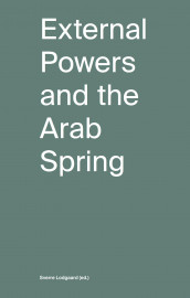 External powers and the arab spring (Ebok)