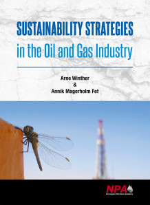 Sustainability strategies in the oil and gas industry av Arne Winther og Annik Magerholm Fet (Innbundet)
