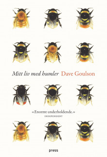 Mitt liv med humler av Dave Goulson (Heftet)