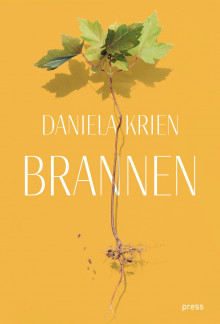 Brannen av Daniela Krien (Ebok)