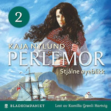 Stjålne øyeblikk av Kaja Nylund (Nedlastbar lydbok)