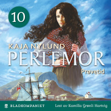 Prøvetid av Kaja Nylund (Nedlastbar lydbok)