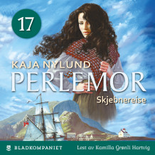 Skjebnereise av Kaja Nylund (Nedlastbar lydbok)