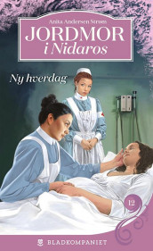 Ny hverdag av Anita Andersen Strøm (Ebok)