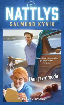 Den fremmede av Salmund Kyvik (Ebok)