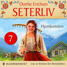 Hjemkomsten av Dorthe Erichsen (Nedlastbar lydbok)