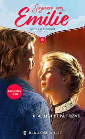 Kjærlighet på prøve av Anne-Lill Vestgård (Ebok)