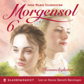 Hemmeligheter av Anne Marie Stamnestrø (Nedlastbar lydbok)