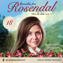 Det du ikke vet ... av Kate Helen Simonsen (Nedlastbar lydbok)