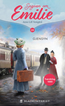 Gjensyn av Anne-Lill Vestgård (Ebok)