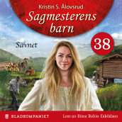 Savnet av Kristin S. Ålovsrud (Nedlastbar lydbok)