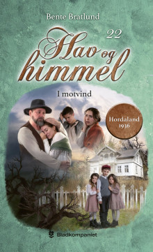 I motvind av Bente Bratlund (Ebok)