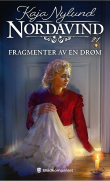 Fragmenter av en drøm av Kaja Nylund (Ebok)