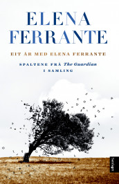 Eit år med Elena Ferrante av Elena Ferrante (Ebok)