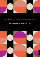 Praktisk grammatikk. av Ida Larsson, Åshild Søfteland og Urd Vindenes (Ebok)