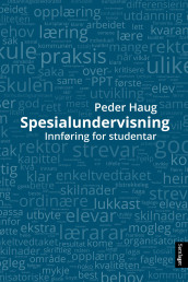 Spesialundervisning av Peder Haug (Heftet)