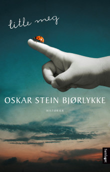 Litle meg av Oskar Stein Bjørlykke (Innbundet)