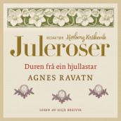 Duren frå ein hjullastar av Agnes Ravatn (Nedlastbar lydbok)